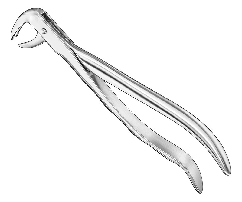 Extracting forceps, anat.